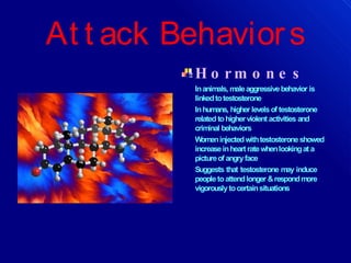 At t ack Behaviors
H o r m o n e s
Inanimals, maleaggressivebehavior is
linkedtotestosterone
Inhumans, higher levels of testosterone
related tohigherviolent activities and
criminal behaviors
Womeninjectedwithtestosteroneshowed
increaseinheart ratewhenlookingat a
pictureof angryface
Suggests that testosterone may induce
peopletoattendlonger &respondmore
vigorouslytocertainsituations
 