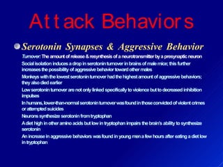 At t ack Behaviors
Serotonin Synapses & Aggressive Behavior
Turnover:Theamountofrelease&resynthesisofaneurotransmitterbyapresynapticneuron
Socialisolation inducesadropinserotoninturnoverinbrainsof malemice;this further
increasesthepossibility ofaggressive behavior towardothermales
Monkeyswiththelowestserotoninturnoverhadthehighestamountofaggressive behaviors;
theyalsodiedearlier
Lowserotoninturnover arenotonlylinked specifically toviolence buttodecreasedinhibition
impulses
Inhumans,lower-than-normalserotoninturnoverwasfoundinthoseconvictedofviolentcrimes
orattemptedsuicides
Neuronssynthesize serotoninfromtryptophan
Adiet highinotheraminoacidsbutlowin tryptophan impairs thebrain’s abilitytosynthesize
serotonin
Anincreaseinaggressive behaviors wasfoundinyoung menafewhoursafter eatingadietlow
intryptophan
 