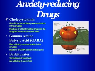Anxiety-reducing
Drugs
Cholecystokinin
Oneof themainexcitatoryneuromodulators
intheamygdale
Injectionsof CCK-stimulatingdrugsintothe
amygdala enhances thestartlereflex
• Gamma Amino
Butyric Acid (GABA)
Maininhibitoryneurotransmitter inthe
amygdale
Injections ofGABA-blockers inducepanic
• Barbiturates
Tranquilizersof yearsback
Are addicting&canbefatal
 