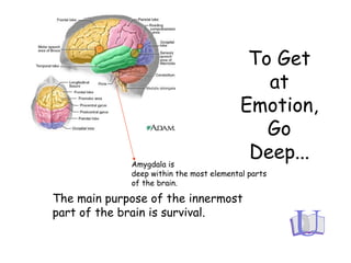The main purpose of the innermost
part of the brain is survival.
To Get
at
Emotion,
Go
Deep...Amygdala is
deep within the most elemental parts
of the brain.
 