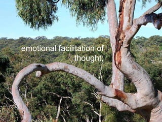 emotional facilitation of thought; 