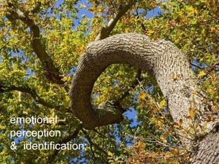emotional  perception  &  identification; 