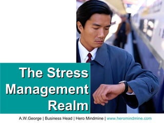 The Stress Management Realm 