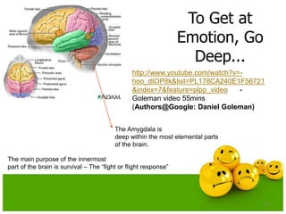 The main purpose of the innermost
part of the brain is survival – The “fight or flight response”
To Get at
Emotion, Go
Deep...
The Amygdala is
deep within the most elemental parts
of the brain.
13
http://www.youtube.com/watch?v=-
hoo_dIOP8k&list=PL178CA240E1F56721
&index=7&feature=plpp_video -
Goleman video 55mins
(Authors@Google: Daniel Goleman)
 