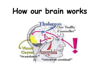 How our brain works
 