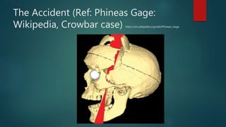 The Accident (Ref: Phineas Gage:
Wikipedia, Crowbar case) https://en.wikipedia.org/wiki/Phineas_Gage
 
