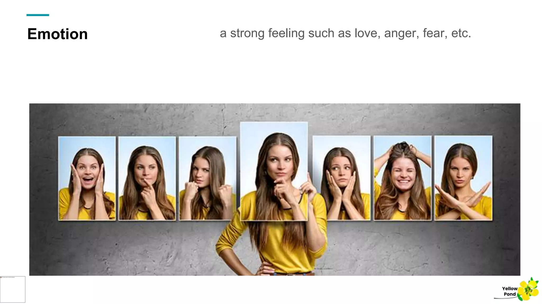 Emotion a strong feeling such as love, anger, fear, etc.
Yellow
Pond
 