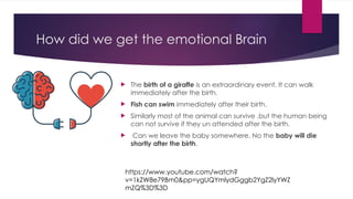 How did we get the emotional Brain
 The birth of a giraffe is an extraordinary event. It can walk
immediately after the birth.
 Fish can swim immediately after their birth.
 Similarly most of the animal can survive .but the human being
can not survive if they un attended after the birth.
 Can we leave the baby somewhere. No the baby will die
shortly after the birth.
https://www.youtube.com/watch?
v=1kZW8e79Bm0&pp=ygUQYmlydGggb2YgZ2lyYWZ
mZQ%3D%3D
 