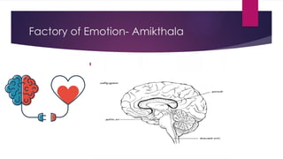 Factory of Emotion- Amikthala
 This is called intuition.
 