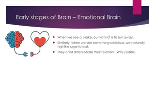 Early stages of Brain – Emotional Brain
 When we see a snake, our instinct is to run away.
 Similarly, when we see something delicious, we naturally
feel the urge to eat.
 They cant differentiate their relations (Wife /sisters)
 