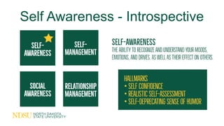 Self Awareness - Introspective
 