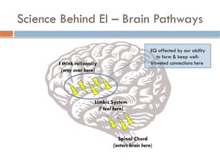 Science Behind EI – Brain Pathways
Spinal Chord
(enters brain here)
Limbic System
(I feel here)
I think rationally
(way over here)
EQ affected by our ability
to form & keep well-
traveled connections here
 