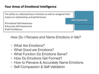 How Do I Perceive and Name Emotions in Me?
What Are Emotions?
What Good are Emotions?
What Function Do Emotions Serve?
How Do Emotions Get Formed?
How to Perceive & Accurately Name Emotions
Self-Compassion & Self-Validation
 