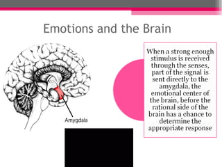 Emotions and the Brain
 