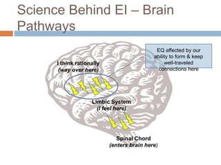 Science Behind EI – Brain
Pathways
Spinal Chord
(enters brain here)
Limbic System
(I feel here)
I think rationally
(way over here)
EQ affected by our
ability to form & keep
well-traveled
connections here
 