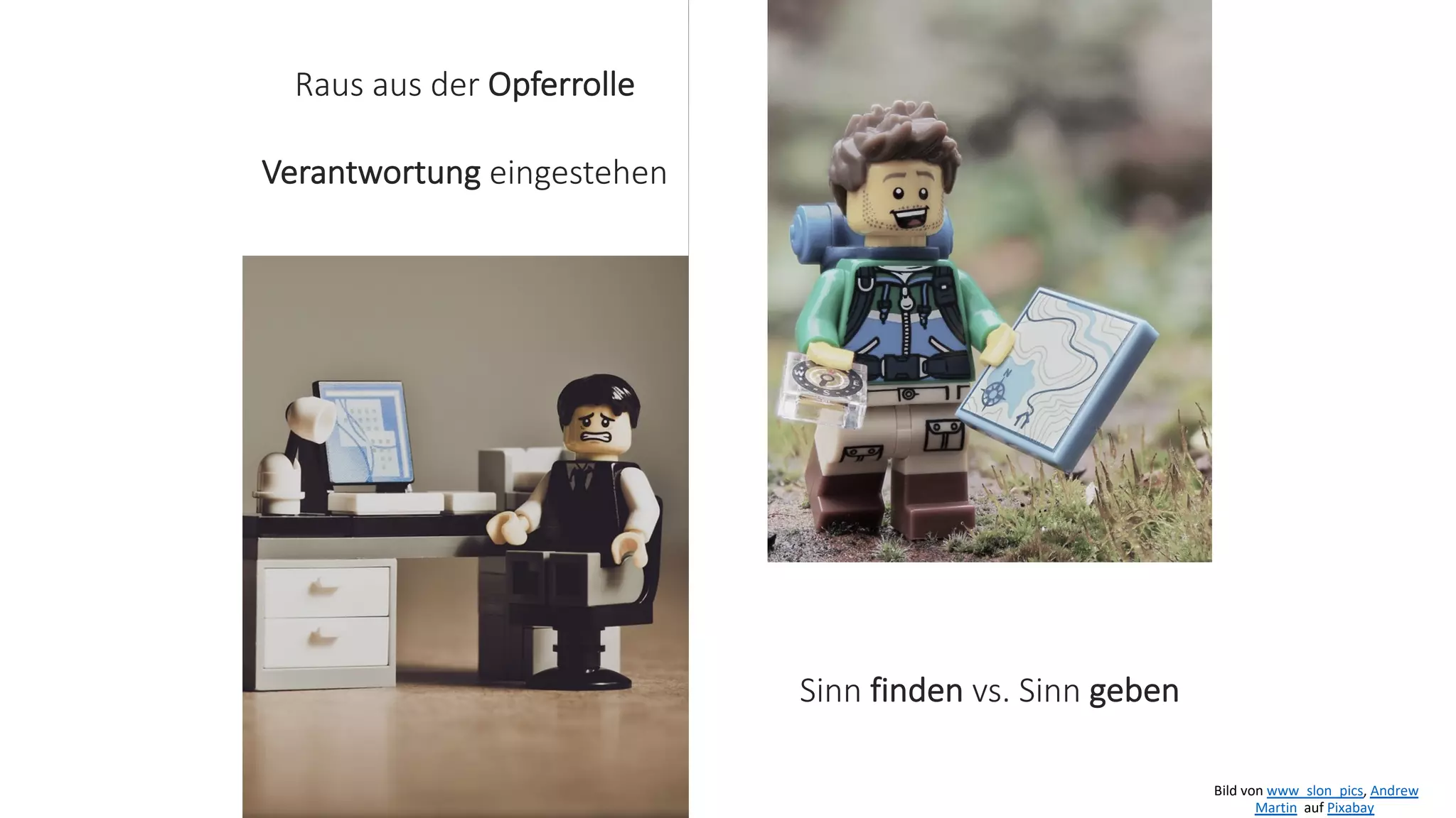 Bild von www_slon_pics, Andrew
Martin auf Pixabay
Raus aus der Opferrolle
Verantwortung eingestehen
Sinn finden vs. Sinn geben
 