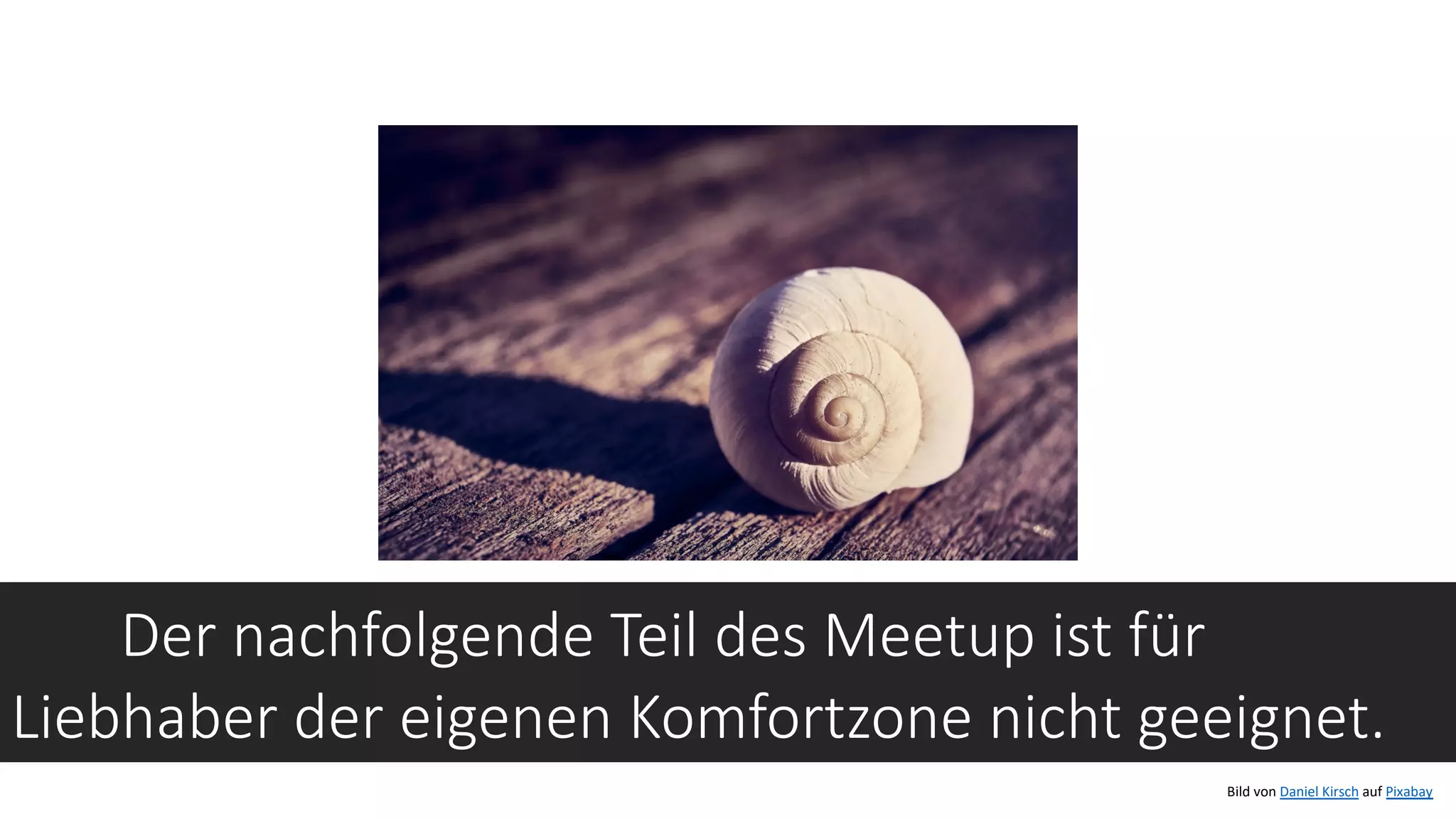 Der nachfolgende Teil des Meetup ist für
Liebhaber der eigenen Komfortzone nicht geeignet.
Bild von Daniel Kirsch auf Pixabay
 