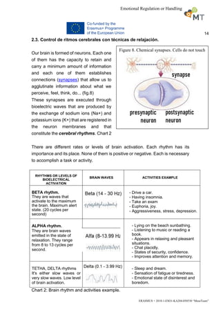 14
ERASMUS + 2018-1-ESO1-KA204-050530 “MuseTeam”
Emotional Regulation or Handling
2.3. Control de ritmos cerebrales con técnicas de relajación.
Our brain is formed of neurons. Each one
of them has the capacity to retain and
carry a minimum amount of information
and each one of them establishes
connections (synapses) that allow us to
agglutinate information about what we
perceive, feel, think, do... (fig.8)
These synapses are executed through
bioelectric waves that are produced by
the exchange of sodium ions (Na+) and
potassium ions (K+) that are registered in
the neuron membranes and that
constitute the cerebral rhythms. Chart 2
There are different rates or levels of brain activation. Each rhythm has its
importance and its place. None of them is positive or negative. Each is necessary
to accomplish a task or activity.
RHYTHMS OR LEVELS OF
BIOELECTRICAL
ACTIVATION
BRAIN WAVES ACTIVITIES EXAMPLE
BETA rhythm.
They are waves that
activate to the maximum
the brain. Maximum alert
state. (20 cycles per
second)
- Drive a car.
- Having insomnia.
- Take an exam
- Euphoria, joy.
- Aggressiveness, stress, depression.
ALPHA rhythm.
They are brain waves
emitted in the state of
relaxation. They range
from 8 to 13 cycles per
second.
- Lying on the beach sunbathing.
- Listening to music or reading a
book.
- Appears in relaxing and pleasant
situations.
- Chat placidly.
- States of security, confidence.
- Improves attention and memory.
TETHA, DELTA rhythms
It's either slow waves or
very slow waves. Low level
of brain activation.
- Sleep and dream.
- Sensation of fatigue or tiredness.
- Emotional state of disinterest and
boredom.
Chart 2: Brain rhythm and activities example.
Figure 8. Chemical synapses. Cells do not touch
 