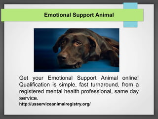 Emotional Support Animal
Get your Emotional Support Animal online!
Qualification is simple, fast turnaround, from a
registered mental health professional, same day
service.
http://usserviceanimalregistry.org/
 