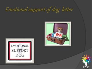 Emotional support of dog letter
 