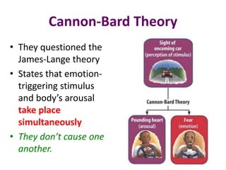 Cannon-Bard Theory
• They questioned the
James-Lange theory
• States that emotion-
triggering stimulus
and body’s arousal
take place
simultaneously
• They don’t cause one
another.
 