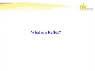 What is a Reflex?
 