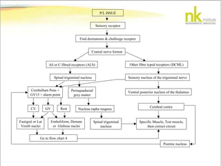P/L ISSUE
Sensory receptor
Find dermatome & challenge receptor
Cranial nerve format
A or C fibred receptors (ALS) Other fibre typed receptors (DCML)
Spinal trigeminal nucleus Sensory nucleus of the trigeminal nerve
Cerebellum Pons +
GV15 + alarm point
CV GV Rest
Fastigial or Lat
Vestib nuclei
Emboliform, Dentate
or Globose nuclei
Periaquaductal
grey matter
Nucleus raphe magnus
Spinal trigeminal
nucleus
Go to flow chart 4
Ventral posterior nucleus of the thalamus
Cerebral cortex
Specific Muscle, Test muscle,
then correct circuit
Pontine nucleus
 