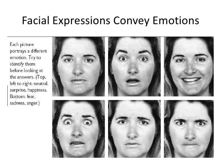 Facial Expressions Of Emotions 41