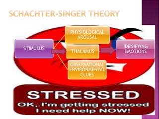 STIMULUS
PHYSIOLOGICAL
AROUSAL
THALAMUS
IDENIFYING
EMOTIONS
OBSERVATIONAL
ENVIRONMENTAL
CLUES
 