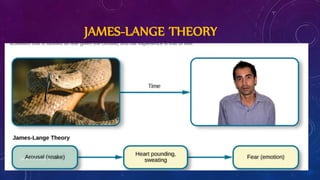 JAMES-LANGE THEORY
DR. M. JOTHILAKSHMI 11
 