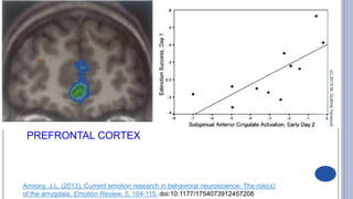 Emotions-Brain-Body | PPTX