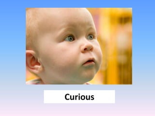 Curious
 