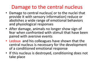 Damage to the central nucleus
• Damage to central nucleus( or to the nuclei that
provide it with sensory information) reduce or
abolishes a wide range of emotional behaviors
and physiological responses
• After damage, animals no longer show sign of
fear when confronted with stimuli that have been
paired with aversive events
• Ledoux and his colleagues have shown that the
central nucleus is necessary for the development
of a conditioned emotional response
• If this nucleus is destroyed, conditioning does not
take place
 