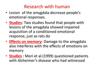 Research with human
• Lesion of the amygdala decrease people’s
emotional responses.
• Studies: Two studies found that people with
lesions of the amygdala showed impaired
acquisition of a conditioned emotional
response, just as rats do
• Effects on memory: Damage to the amygdala
also interferes with the effects of emotions on
memory
• Studies : Mori et al.(1999) questioned patients
with Alzheimer’s disease who had witnessed
 