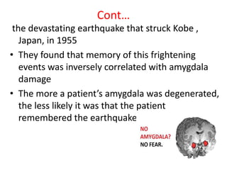 Cont…
the devastating earthquake that struck Kobe ,
Japan, in 1955
• They found that memory of this frightening
events was inversely correlated with amygdala
damage
• The more a patient’s amygdala was degenerated,
the less likely it was that the patient
remembered the earthquake
 