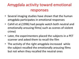 Amygdala activity toward emotional
responses
• Several imaging studies have shown that the human
amygdala participates in emotional responses
• Cahill et al.(1996) had people watch both neutral and
emotionally arousing films( such as scenes of violent
crime)
• Later, the experimenters placed the subjects in a PET
scanner and asked them to recall the film
• The activity of the right amygdala increased while
the subject recalled the emotionally arousing films
but not when they recalled the neutral ones
 