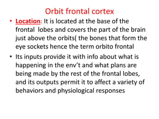Orbit frontal cortex
• Location: It is located at the base of the
frontal lobes and covers the part of the brain
just above the orbits( the bones that form the
eye sockets hence the term orbito frontal
• Its inputs provide it with info about what is
happening in the env’t and what plans are
being made by the rest of the frontal lobes,
and its outputs permit it to affect a variety of
behaviors and physiological responses
 