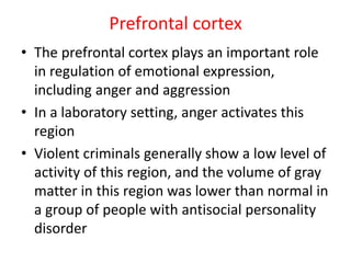 Prefrontal cortex
• The prefrontal cortex plays an important role
in regulation of emotional expression,
including anger and aggression
• In a laboratory setting, anger activates this
region
• Violent criminals generally show a low level of
activity of this region, and the volume of gray
matter in this region was lower than normal in
a group of people with antisocial personality
disorder
 