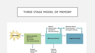 Emotions and memory, explained according to CSS syllabus | PPTX