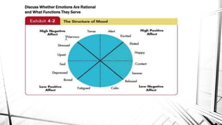 Discuss Whether Emotions Are Rational 
and What Functions They Serve 
 