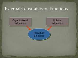 Organizational
Influences
Organizational
Influences
Cultural
Influences
Cultural
Influences
Individual
Emotions
Individual
Emotions
 