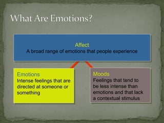 Moods
Feelings that tend to
be less intense than
emotions and that lack
a contextual stimulus
Moods
Feelings that tend to
be less intense than
emotions and that lack
a contextual stimulus
Emotions
Intense feelings that are
directed at someone or
something
Emotions
Intense feelings that are
directed at someone or
something
Affect
A broad range of emotions that people experience
Affect
A broad range of emotions that people experience
 