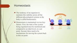 Homeostasis
 The tendency of an organism to
maintain this stability across all the
different physiological systems in the
body is called homeostasis.
 Homeostasis is maintained via two key
factors. First, the state of the system
being regulated must be monitored and
compared to an ideal level, or a set
point. Second, there need to be
mechanisms for moving the system back
to this set point
 