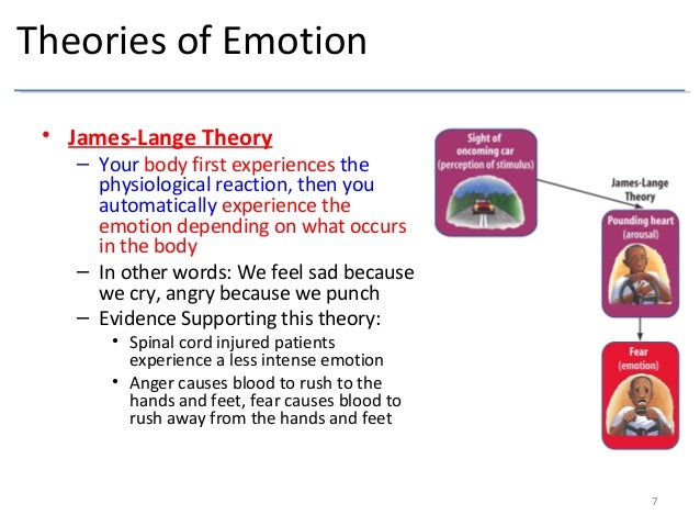 james lange theory
