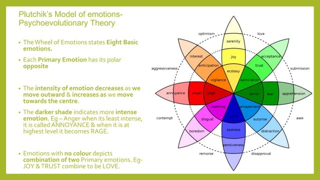 IMPORTANCE OF HUMANS Emotions final.pptx
