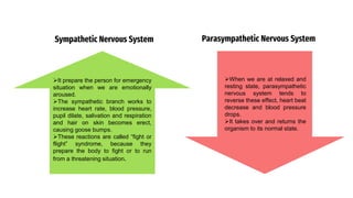 Sympathetic Nervous System
It prepare the person for emergency
situation when we are emotionally
aroused.
The sympathetic branch works to
increase heart rate, blood pressure,
pupil dilate, salivation and respiration
and hair on skin becomes erect,
causing goose bumps.
These reactions are called “fight or
flight” syndrome, because they
prepare the body to fight or to run
from a threatening situation.
Parasympathetic Nervous System
When we are at relaxed and
resting state, parasympathetic
nervous system tends to
reverse these effect, heart beat
decrease and blood pressure
drops.
It takes over and returns the
organism to its normal state.
 