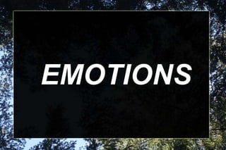 EMOTIONS

 