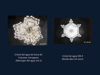 Cristal de agua EM-X
diluida diez mil veces
Cristal del agua de lluvia de
Fujisawa, Kanagawa
(Mensajes del agua Vol.1)
 