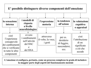 E’ possibile distinguere diverse componenti dell’emozione

la sensazione
interna

i modelli di
risposta
a livello
neurofisiologico

l’espressione
motoria

ovvero
cioè
attraverso
i cambiamenti
l’esperienza
il volto, la voce,
nell’attività
consapevole
i gesti
del SNC
dei cambiamenti
e
che si verificano
del SNA
in tutte le altre
componenti

la tendenza
all’azione

la valutazione
cognitiva
o appraisal

per es.
desiderio
di fuggire,
nascondersi,
ecc.

cioè
l’attribuzione
di un
significato
a ciò che
accade

L’emozione si configura, pertanto, come un processo complesso in grado di includere
la maggior parte degli aspetti del funzionamento mentale

 