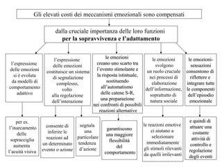 Gli elevati costi dei meccanismi emozionali sono compensati
dalla cruciale importanza delle loro funzioni
per la sopravvivenza e l’adattamento

l’espressione
delle emozioni
si è evoluta
da modelli di
comportamento
adattivo

per es.
l’inarcamento
delle
sopracciglia
aumenta
l’acuità visiva

l’espressione
delle emozioni
costituisce un sistema
di segnalazione
complesso,
volto
alla regolazione
dell’interazione

le emozioni
le emozioni
le emozionicreano uno scarto tra
svolgono
sensazioni
l’evento stimolante e
un ruolo cruciale consentono di
la risposta istintuale,
nei processi di
riflettere e
sostituendo
elaborazione
integrare tutte
all’automatismo
dell’informazione, le componenti
delle catene S-R,
soprattutto di
dell’episodio
una preparazione
natura sociale
emozionale
nei confronti di possibili
reazioni alternative

segnala
consente di
una
inferire le
particolare
reazioni ad
un determinato tendenza
evento o azione d’azione

garantiscono
una maggiore
flessibilità
del
comportamento

le reazioni emotive
ci aiutano a
selezionare
immediatamente
gli stimoli rilevanti
da quelli irrilevanti

e quindi di
attuare una
costante
attività di
controllo e
regolazione
degli eventi

 